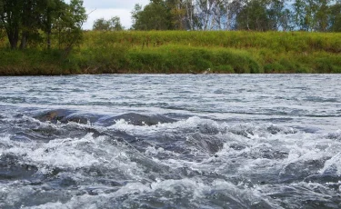 В ЗКО паводковую воду направляют в озера