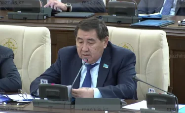 Туды қорлағандардың артында тұрғандарды жазалау керек – Ермұрат Бапи