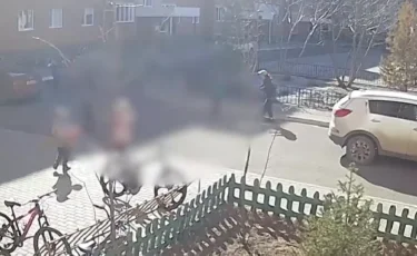 Қосшыда 2 жасар бүлдіршінді көлік басып кетті (ВИДЕО)