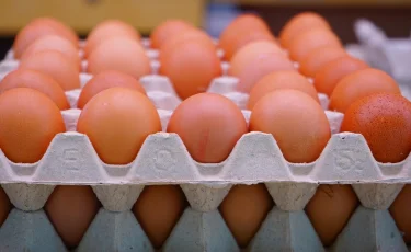 Казахстан запретил ввоз яиц на полгода