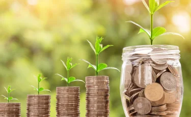 Организаторы финансовой пирамиды Qnet получили срок в Кызылорде