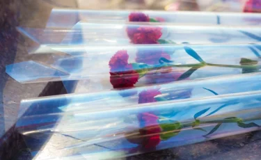 Столичным ветеранам выплатили по 5 миллионов тенге