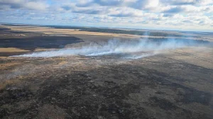 Техниканы жаңғыртуға бөлінген 26 млрд теңге орманды өрттен құтқара ма?