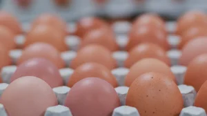 Жұмыртқа бағасы арзандап жатыр