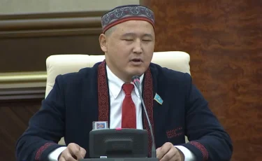 Министерство уничтожает музыкальное образование для инвалидов по зрению — мажилисмен Сейтжан