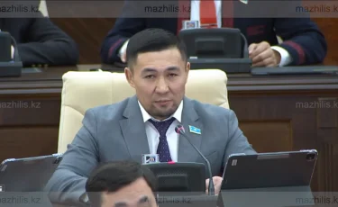 Ажырасқандарға салық көбеймек: Ардақ Назаров Үкіметке тосын ұсыныс айтты