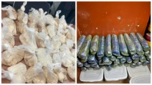 Шымкент тұрғынынан 83 шелек марихуана табылды