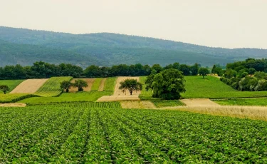 3,7 млрд тенге потратят на сельхозперепись в Казахстане