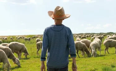 Қостанай облысында мал іздеуге шыққан екі жасөспірім жоғалып кеткен