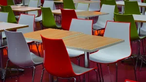 Бородулихада бюджет үнемдеу балалардың асынан басталды ма?