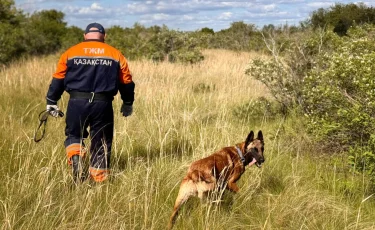 Без жилья и с низкой зарплатой: сенаторы призвали изменить жизнь казахстанских спасателей