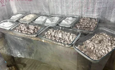 Алматыда екі есірткі зертханасы жойылды