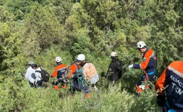 Түркістан облысында 5 қыз тауда жоғалып кеткен