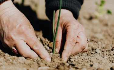 Министр заявил о кадровом голоде в агросекторе Казахстана