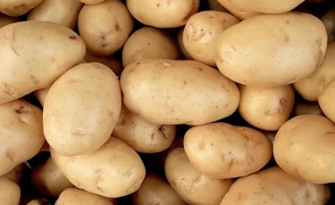 Китайская и пакистанская картошка спасают казахстанский рынок