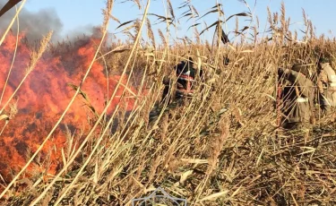 Атырауда қамыс өртеніп, қаланы көк түтін басып тұр