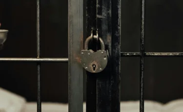 Сенат принял закон об амнистии к 30-летию Конституции