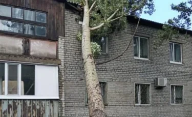 Казахстанцев обяжут страховать жильё от стихийных бедствий