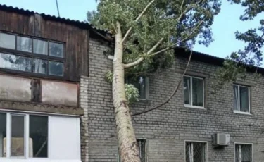 Павлодар облысындағы дауыл: бір адам қаза тауып, ондаған нысан зақымданды