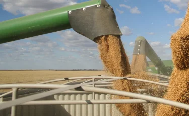 Переизбыток пшеницы: Казахстан готов к любым зерновым кризисам?