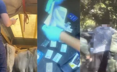 Жетісу облысында 9,5 млн теңгенің малын ұрлағандар ұсталды