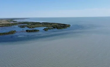 Критическая пересушка: почему Балхаш требует срочного вмешательства