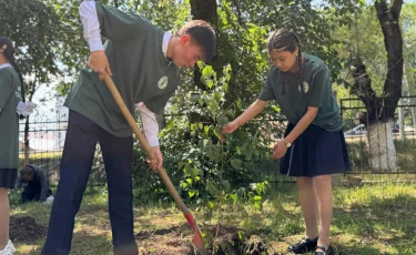 Қазақстанда 2027 жылға дейін 2 млрд ағаш отырғызылады