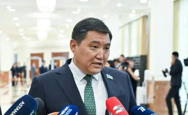 Базарбек требует возбуждения уголовных дел по итогам аудитов и проверок