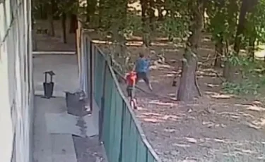 Үш ит талаған бала оқиғасы: Бақылау камерасынан видео жарияланды