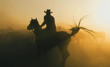 Привязал жену к лошади и тащил по степи: в Жетысу расследуют жестокое убийство