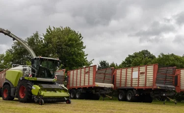Продбезопасность под угрозой: аудит выявил критические сбои в системе АПК