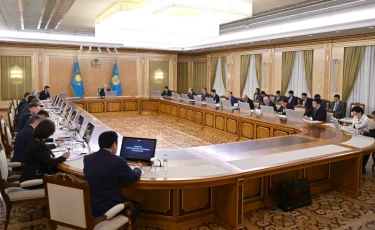 Токаев недоволен ходом работы по созданию цифровой экосистемы