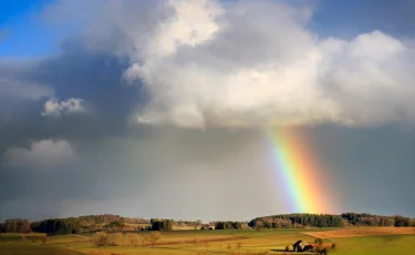 Грозы, град и пыльные бури ожидаются в регионах Казахстана