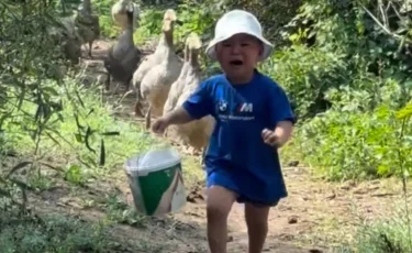 Snoop Dogg заметил мальчика из Актобе, убегающего от гусей (ВИДЕО)