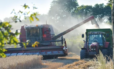 Кризис на уборке: фермерам не хватает дизтоплива для сушки зерна