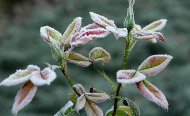 Прогноз погоды на 3 сентября: в Астане ожидаются заморозки