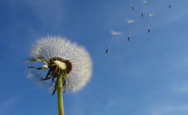 Штормовое предупреждение объявлено почти по всему Казахстану 8 сентября