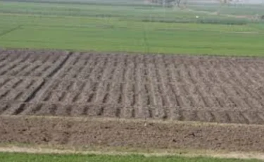 7,5 млн гектаров простаивают: депутаты требуют ускорить распределение земель