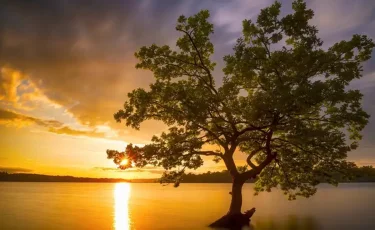 В Казахстане 15 сентября ожидается тёплая и в основном сухая погода