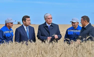 Тоқаев Ақмола облысындағы егін жинау науқанымен танысты