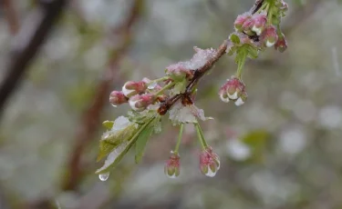 Погода на 16 сентября: дожди, грозы и ночные заморозки в Казахстане