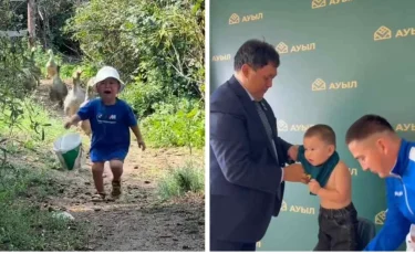 Қаздардан қашып танымал болған балаға 100 қаз сыйға берілді