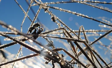 Грозы и заморозки ожидаются в нескольких регионах Казахстана 22 сентября