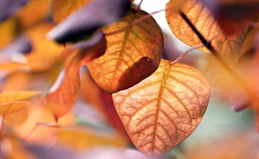 Снег в горах и жара на западе: прогноз погоды на 23 сентября