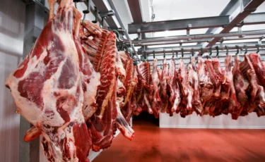 Министрлер сиыр етін қаншаға сатып алғанын айтты