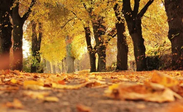 Погода в Казахстане на 24 сентября: тепло и без осадков по всей стране