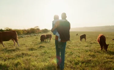 Шығыс Қазақстанда ірі қара мал қырылып жатыр