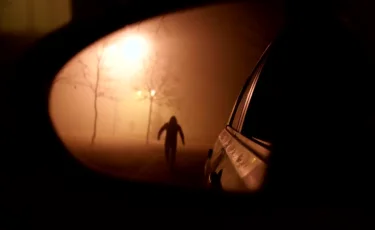 Сарыағашта зейнеткерді бауыздаған адамға қатысты тың дерек шықты