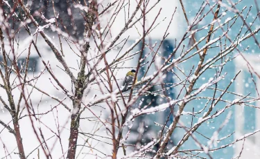Казгидромет предупредил о дождях и мокром снеге 2 октября