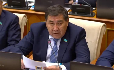 Ермұрат Бапи Болат Назарбаевтың ұлына қатысты істі қайта қарауды талап етті